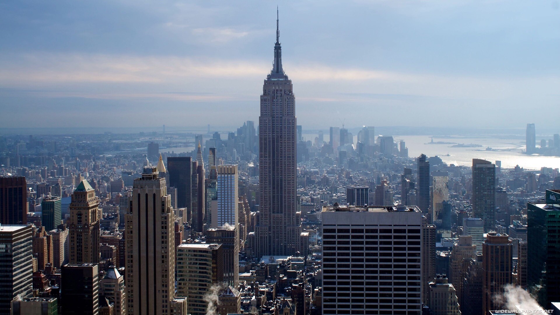 Banner Image 3